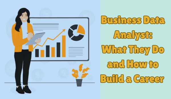 Business Data Analyst